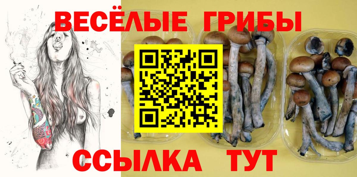 Псилоцибиновые грибы Magic Shrooms Тамбов