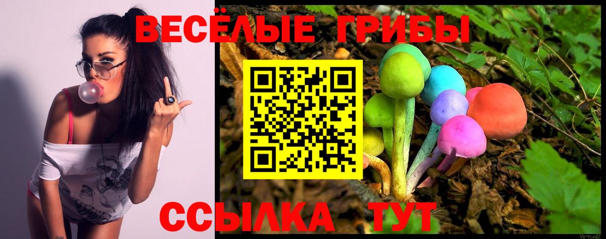 Тамбов  Галлюциногенные грибы Psilocybe  Вход с VPN  Галлюциногенные грибы Psilocybine cubensis 