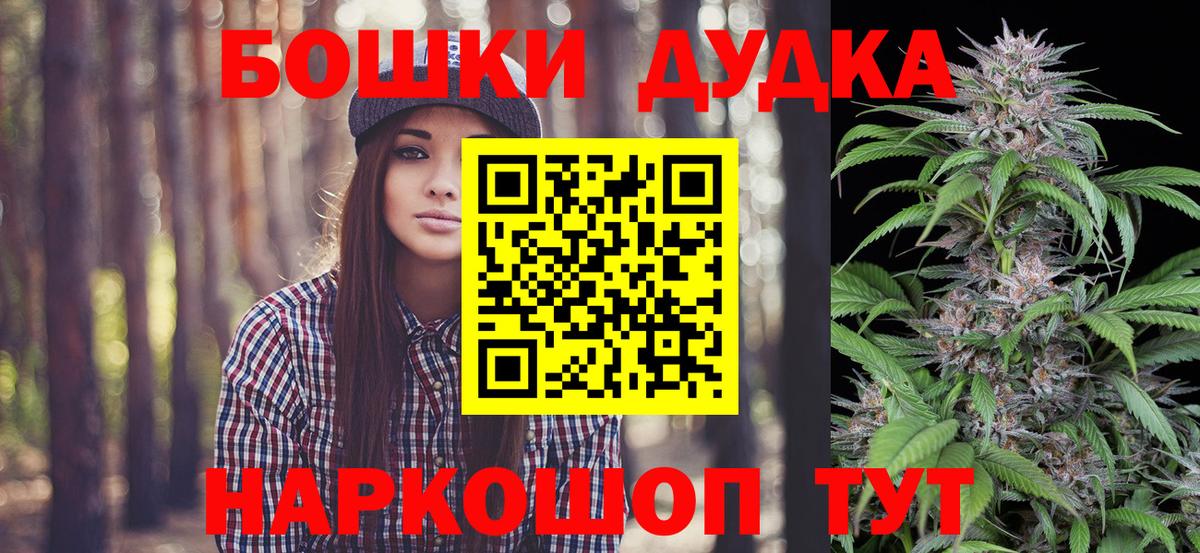 Марихуана Bruce Banner  Марихуана планчик  Бошки марихуана ГИДРОПОН  Тамбов  Вход с VPN 